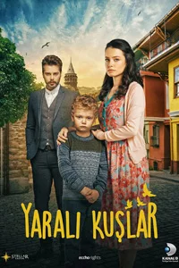 Раненые птицы 165 серия